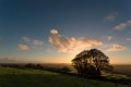 cox tor sunset 4